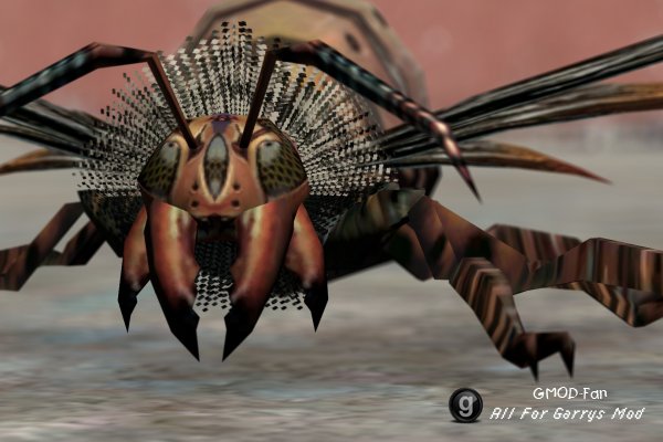 Hornet (Valhalla Knights)