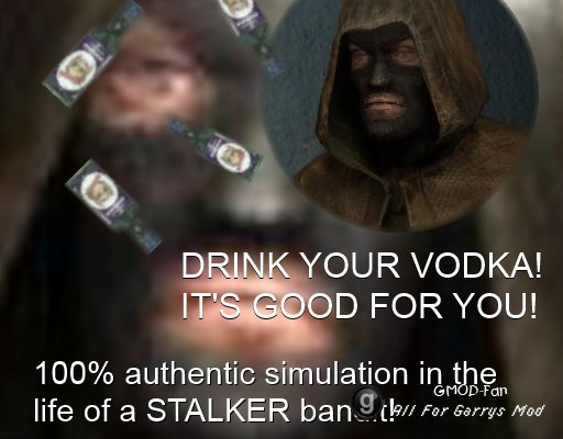 The STALKER Bandit Experience