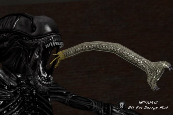 AvP 2010 Trophy models