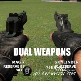 Dual Weapons