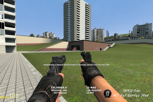 Dual Weapons