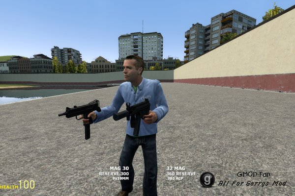 Dual Weapons