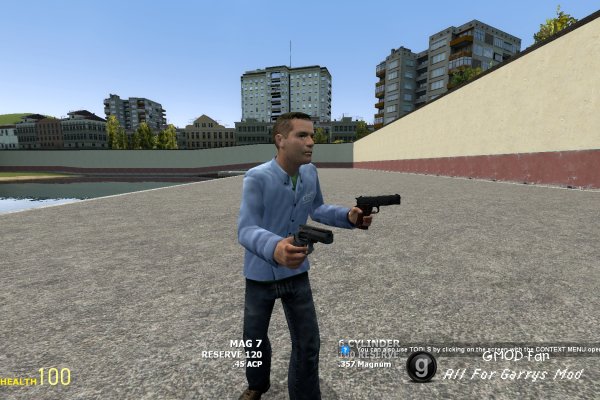 Dual Weapons