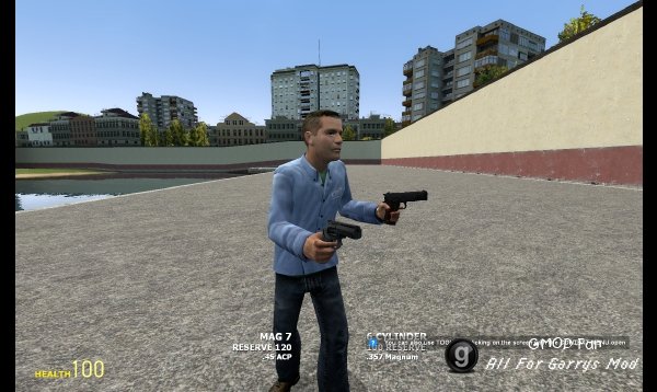 Dual Weapons