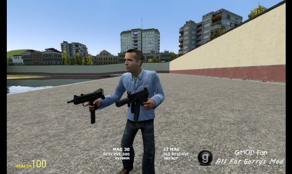 Dual Weapons