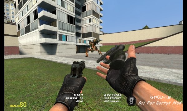 Dual Weapons
