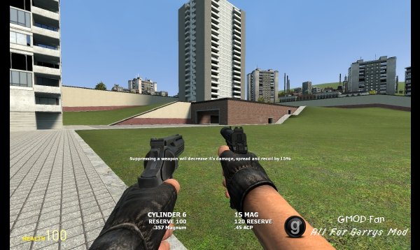 Dual Weapons