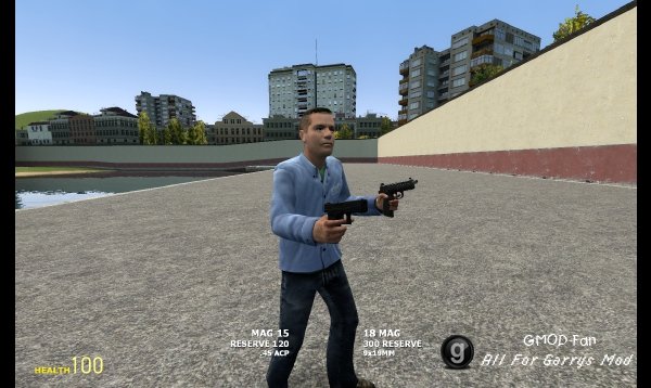 Dual Weapons