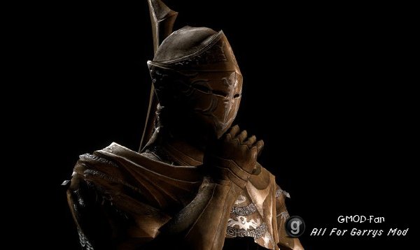 Darkmoon Knightess