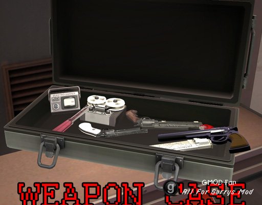 Weapon Case