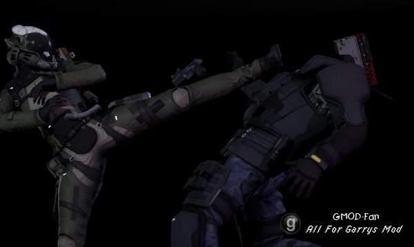 BL:R Artemis's Weapons