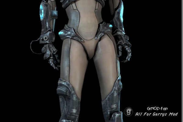 StarCraft 2 Nova Terra