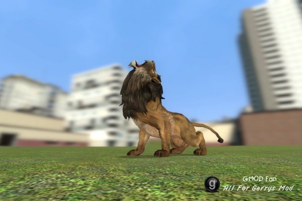 Animal SNPCs
