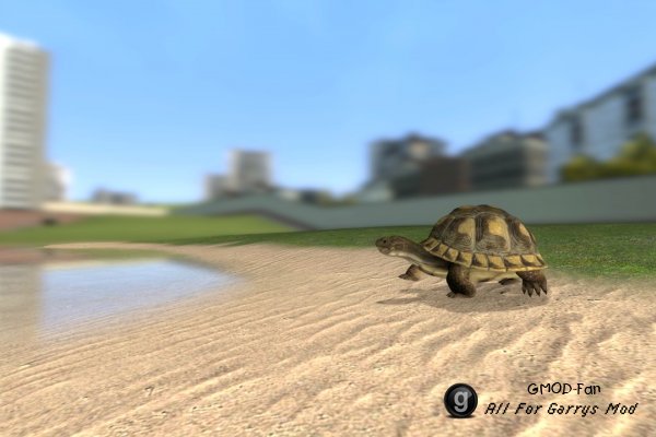 Animal SNPCs
