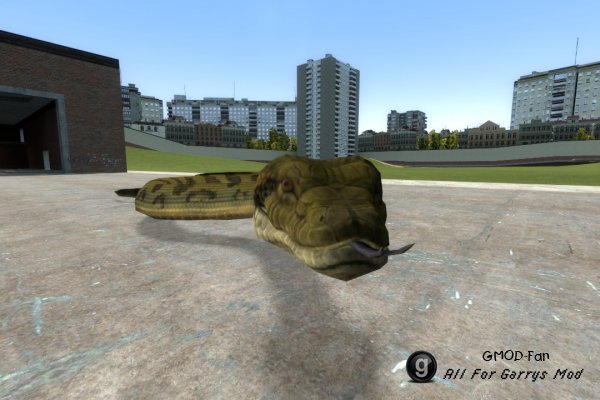 Animal SNPCs