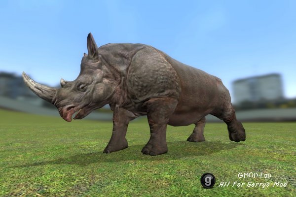 Animal SNPCs