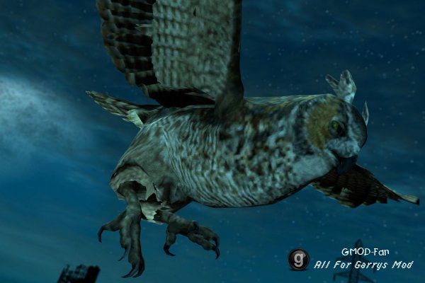 Animated Owls