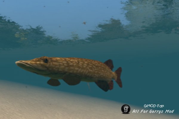 Water SNPCs