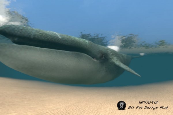 Water SNPCs