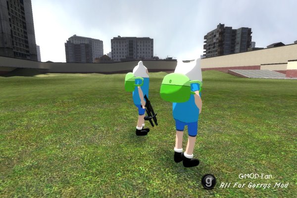 Finn-npc