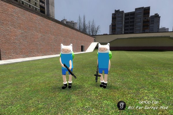 Finn-npc