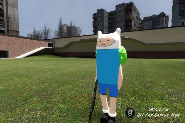 Finn-npc