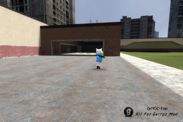 Finn-npc