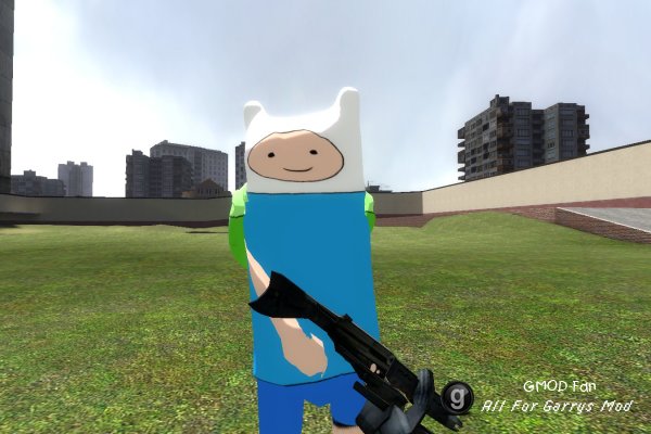 Finn-npc