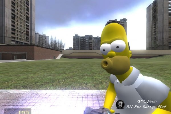 homer_ppl_model_v2
