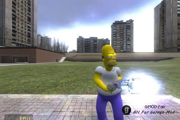 homer_ppl_model_v2