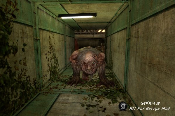 S.T.A.L.K.E.R SNPCs