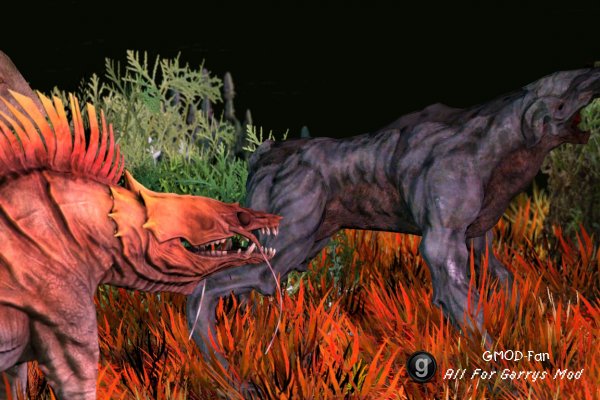 Various Critters
