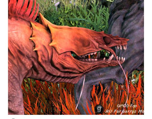 Various Critters