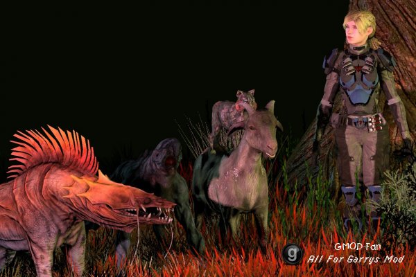 Various Critters
