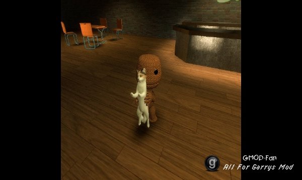 LBP sackboy