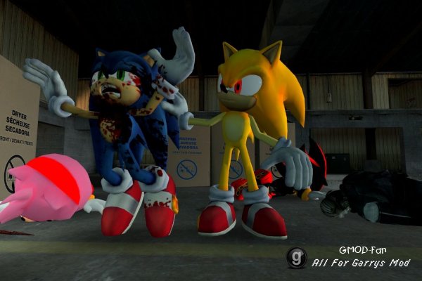 Sonic The Hedgehog Mod 2009