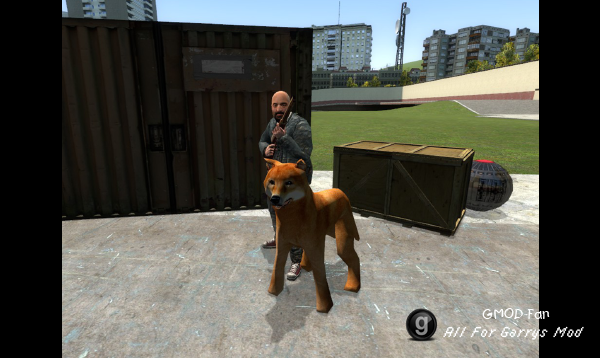 Doge Ragdoll Model