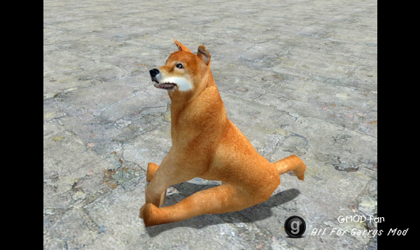 Doge Ragdoll Model