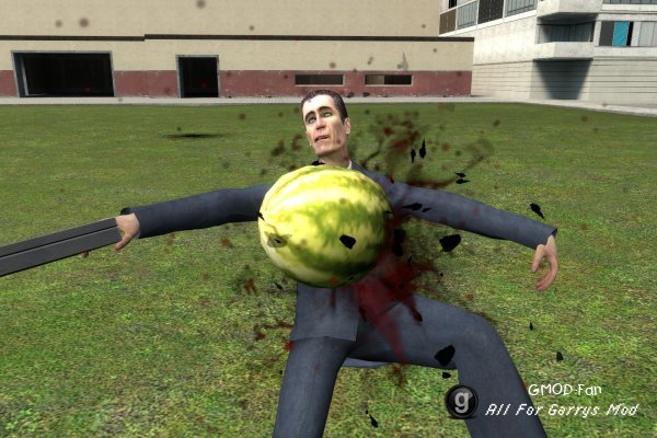 Headshot Slow-Mo