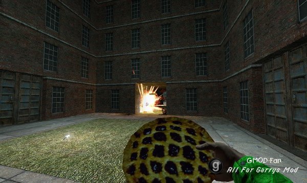 Pie Bomb