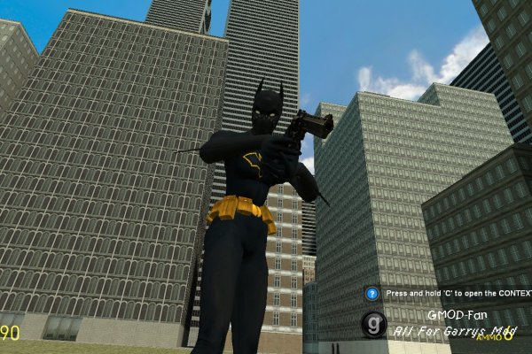 Batgirl Playermodel