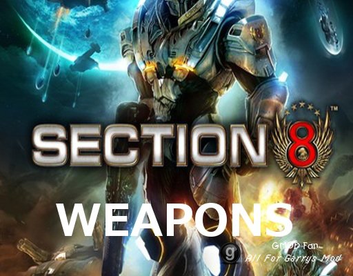 Section:8 Weapons