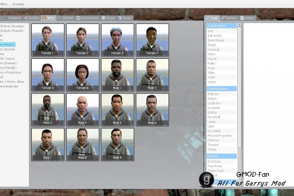HLnpcs_2