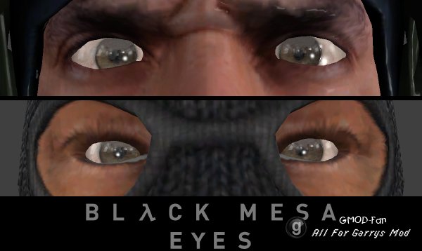 (Enhanced Models and P.M.) GSG9 and Phoenix