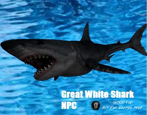 Great White Shark npc