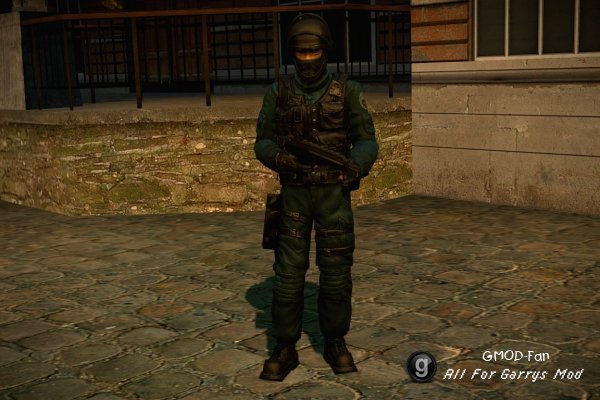 Default GIGN Remastered