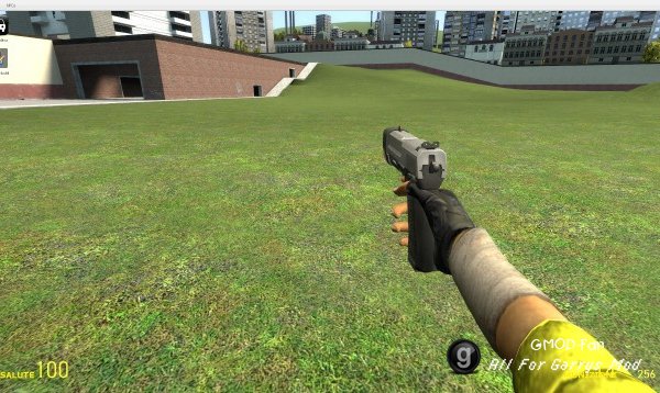 Alyx Viewmodel Arms