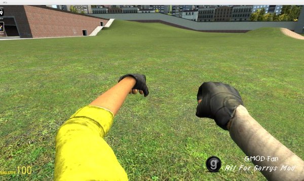 Alyx Viewmodel Arms