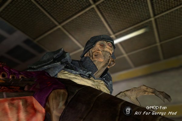 Black Mesa SNPCs
