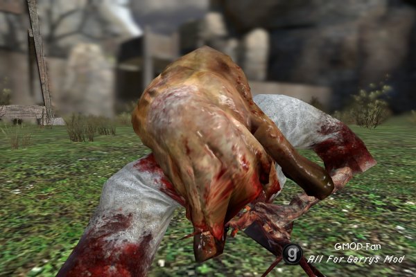 Black Mesa SNPCs
